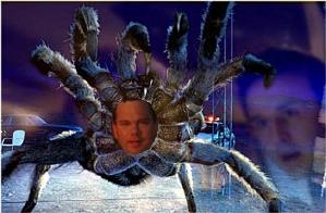 IPB Image